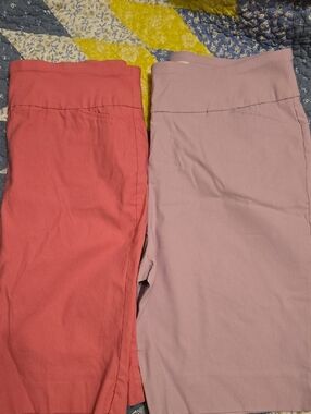 Cato (9 in Inseam) Shorts W/ Stretch